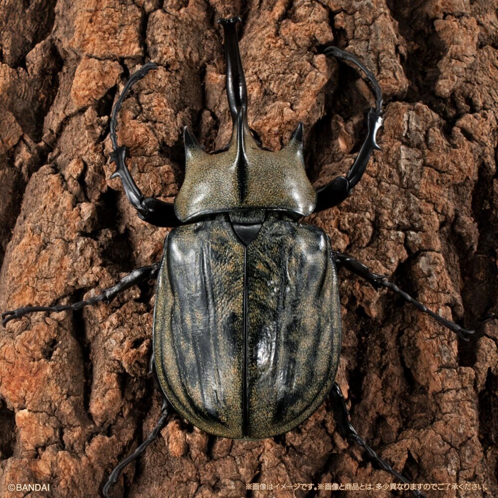🕛6月預購🕛生物大圖鑑 進擊 獨角仙04 萬代 盒玩 扭蛋 轉蛋 毛象 象兜 大兜蟲 長戟生物大圖鑑 獨角仙 萬代 扭蛋-圖片-1