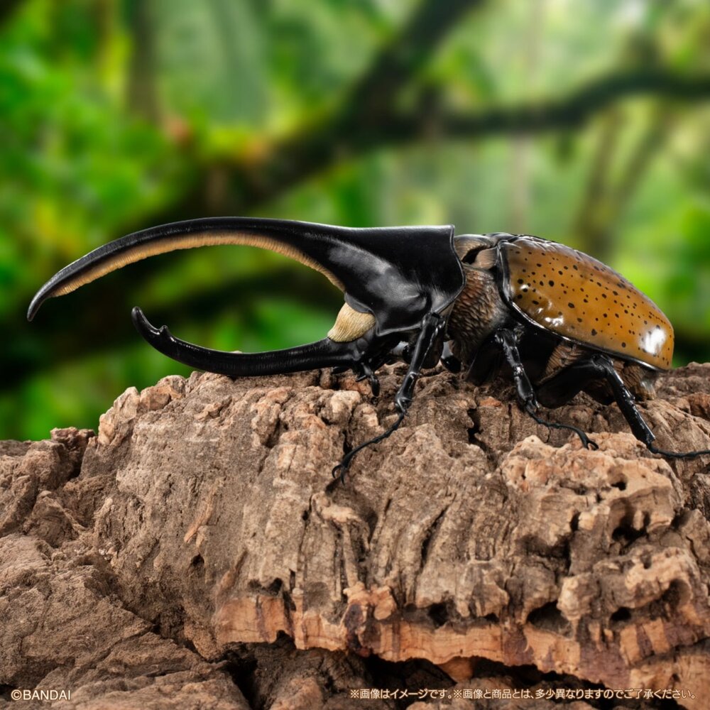 🕛6月預購🕛生物大圖鑑 進擊 獨角仙04 萬代 盒玩 扭蛋 轉蛋 毛象 象兜 大兜蟲 長戟生物大圖鑑 獨角仙 萬代 扭蛋-圖片-2