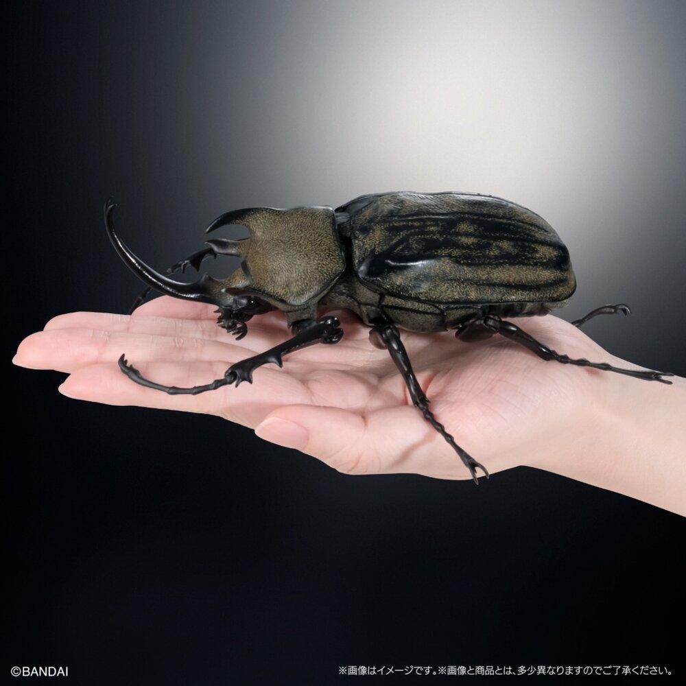 🕛6月預購🕛生物大圖鑑 進擊 獨角仙04 萬代 盒玩 扭蛋 轉蛋 毛象 象兜 大兜蟲 長戟生物大圖鑑 獨角仙 萬代 扭蛋-圖片-5
