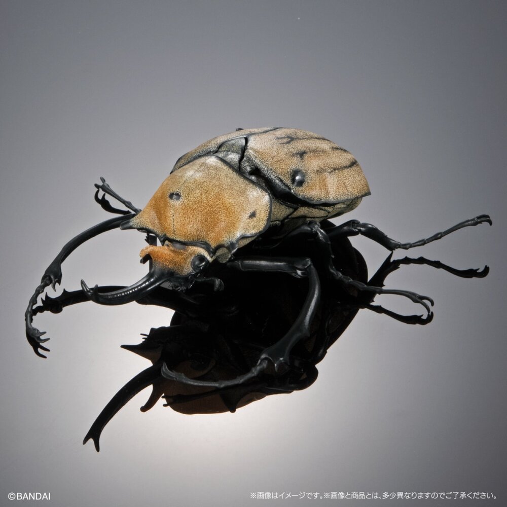🕛6月預購🕛生物大圖鑑 進擊 獨角仙04 萬代 盒玩 扭蛋 轉蛋 毛象 象兜 大兜蟲 長戟生物大圖鑑 獨角仙 萬代 扭蛋-圖片-6