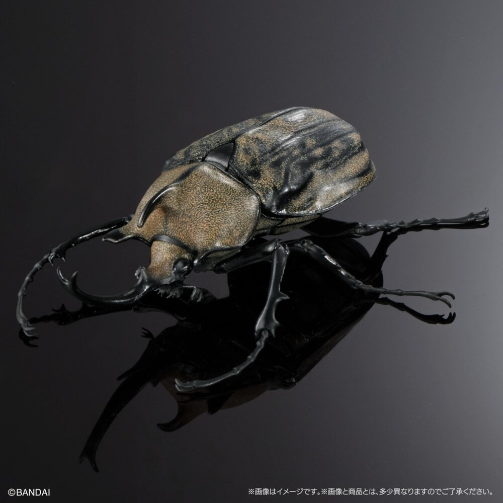 🕛6月預購🕛生物大圖鑑 進擊 獨角仙04 萬代 盒玩 扭蛋 轉蛋 毛象 象兜 大兜蟲 長戟生物大圖鑑 獨角仙 萬代 扭蛋-圖片-7