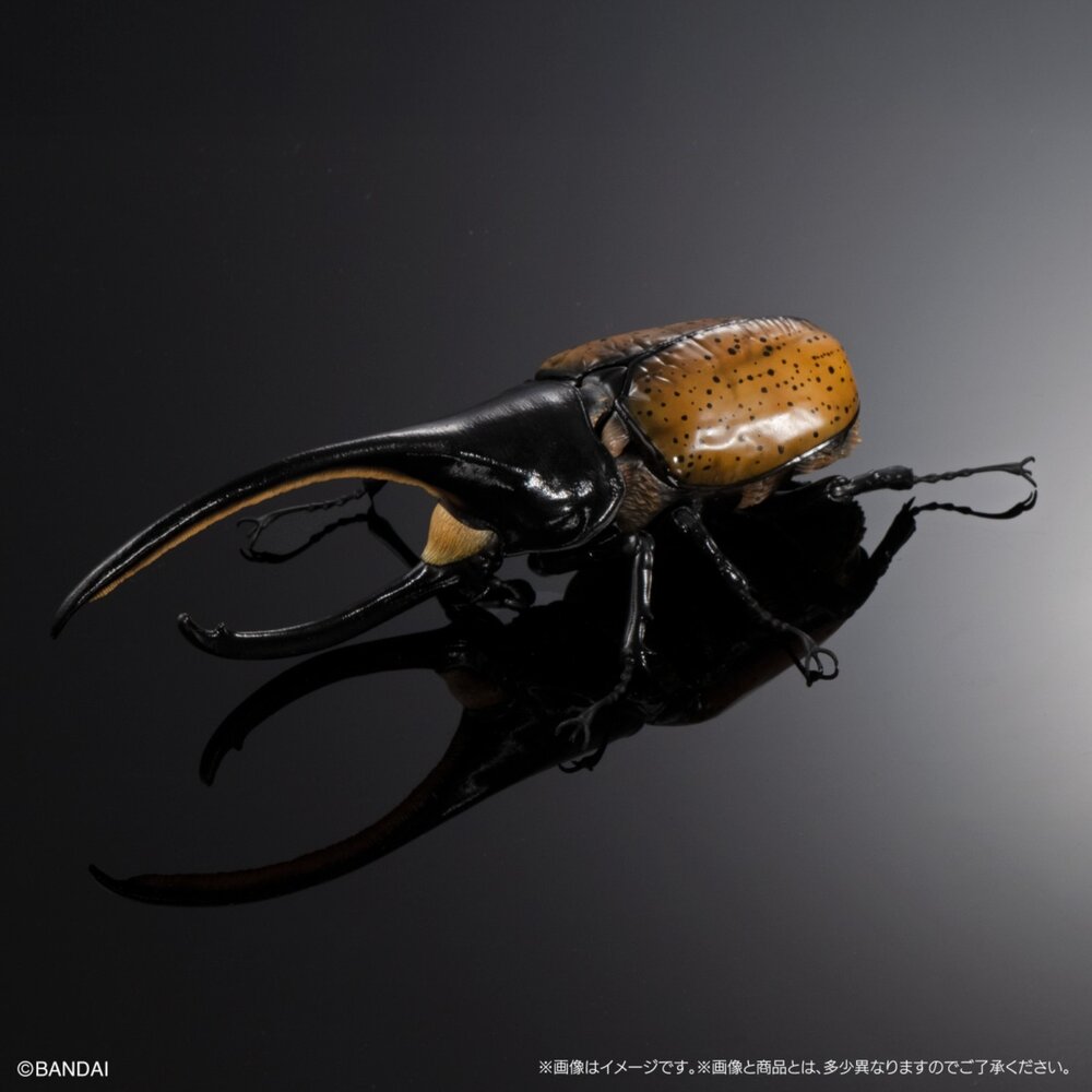 🕛6月預購🕛生物大圖鑑 進擊 獨角仙04 萬代 盒玩 扭蛋 轉蛋 毛象 象兜 大兜蟲 長戟生物大圖鑑 獨角仙 萬代 扭蛋-圖片-8