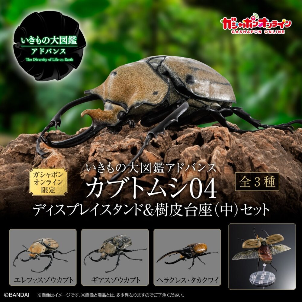 260425142836-🔥現貨🔥生物大圖鑑 進擊 獨角仙04 萬代 盒玩 扭蛋 轉蛋 毛象 象兜 大兜蟲 長戟