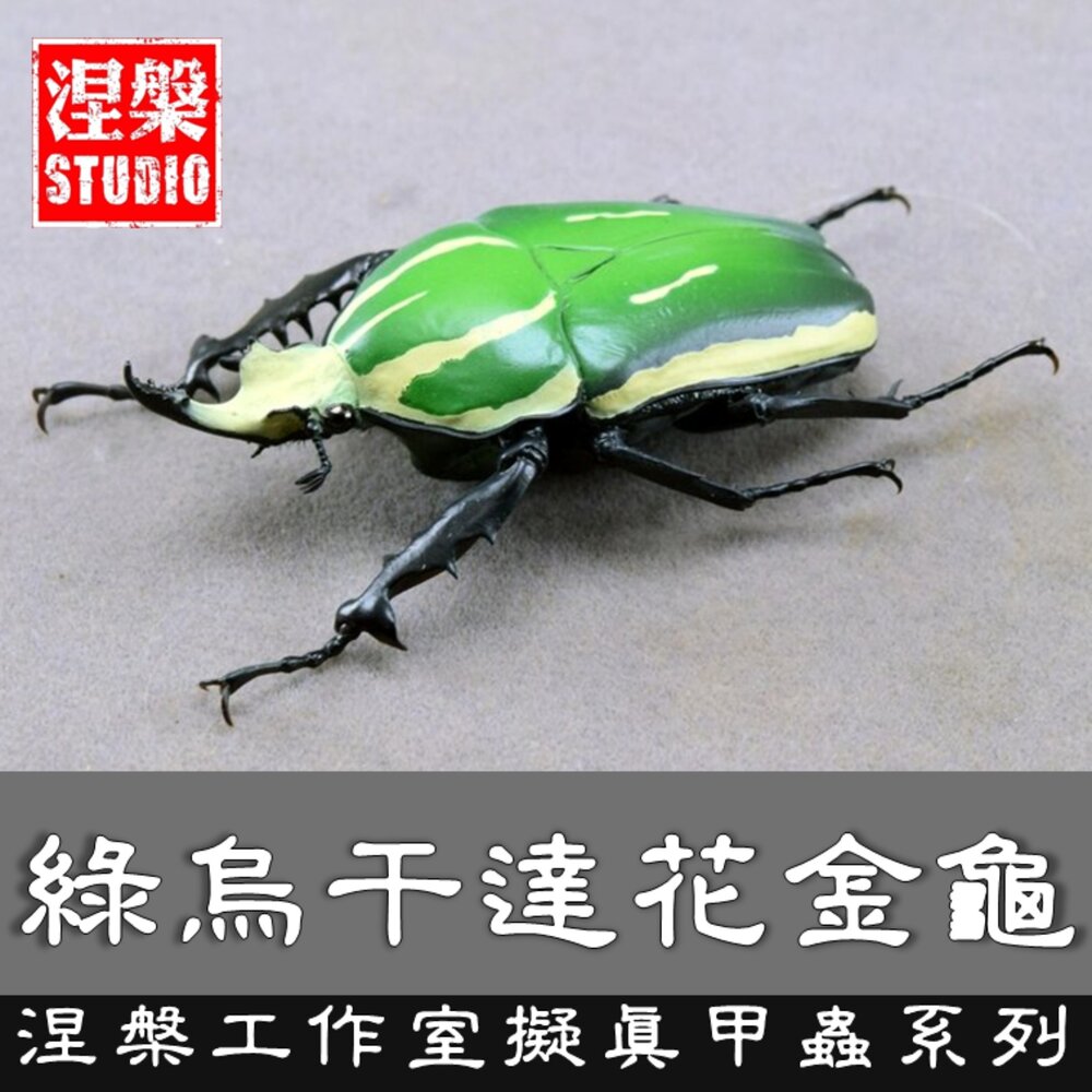 260426150830-🔥現貨🔥綠烏干達花金龜 涅槃工作室 金龜子 擬真模型 擺飾 磁鐵 涅盤 綠色