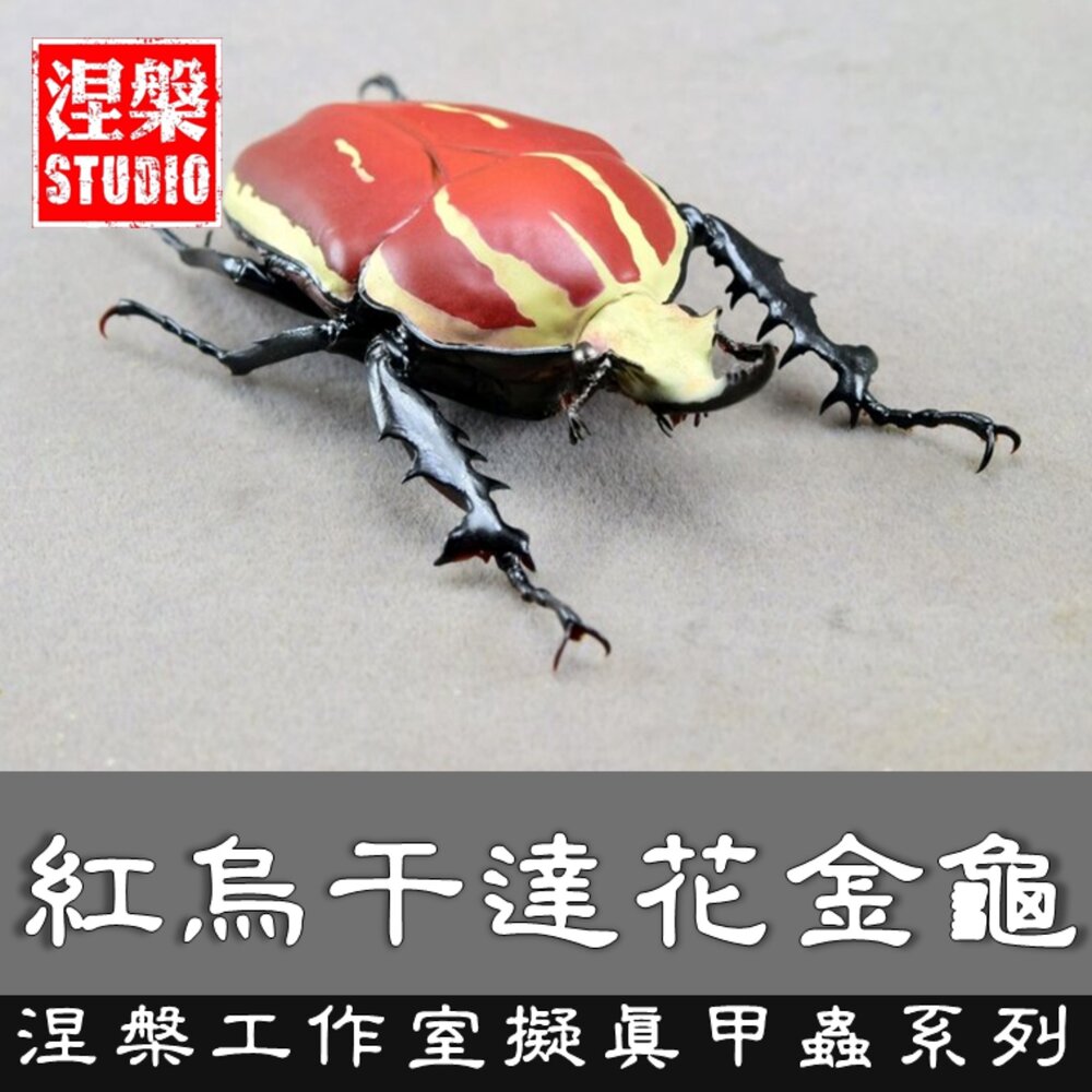 260426151232-🔥現貨🔥紅烏干達花金龜 涅槃工作室 金龜子 擬真模型 擺飾 磁鐵 涅盤 紅色