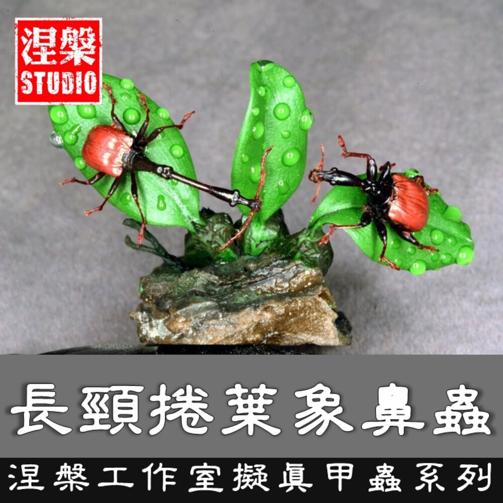 260426155118-🔥現貨🔥長頸捲葉象鼻蟲 涅槃工作室 象甲 甲蟲 擬真模型 擺飾 磁鐵 涅盤