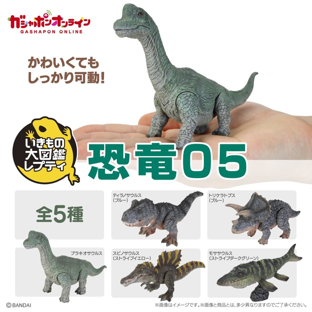 260525144228-🕛8月預購🕛生物大圖鑑 Repti 恐龍P4 萬代 扭蛋 轉蛋 小恐龍 滄龍 腕龍