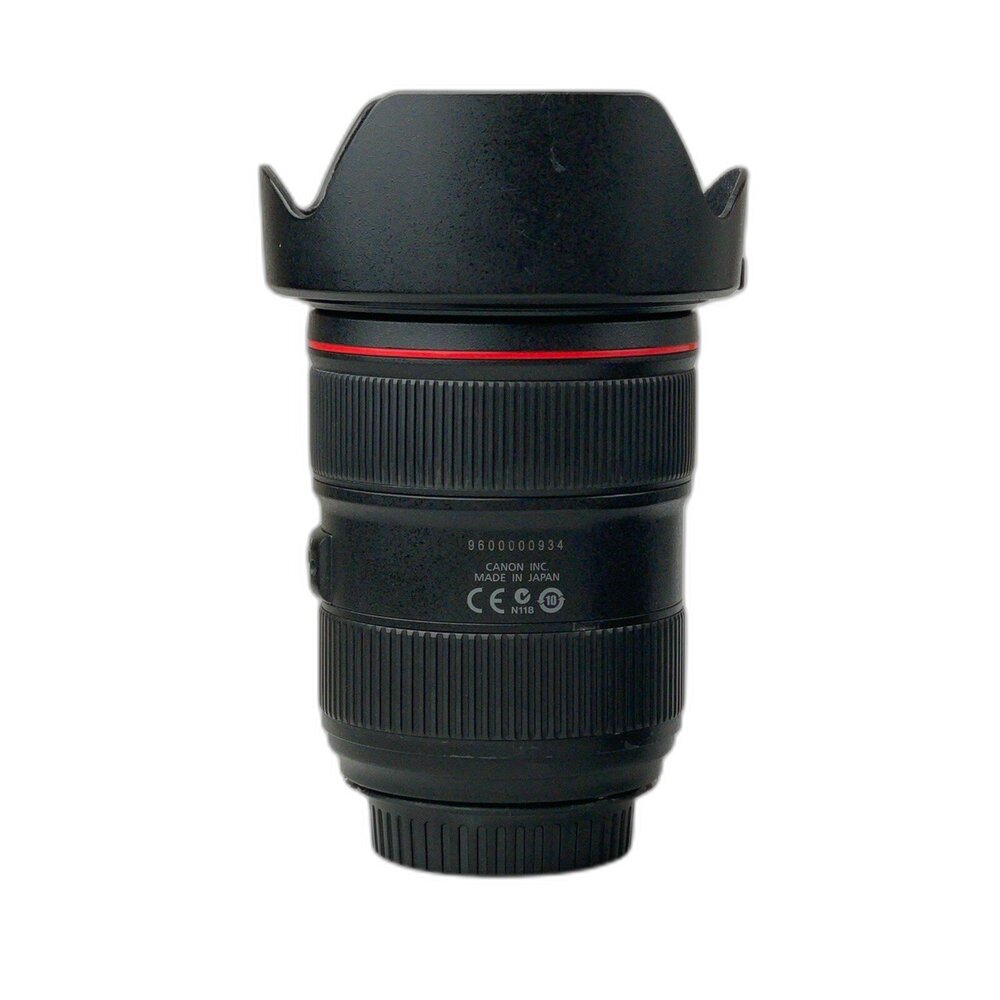 (佳能單反恆定光圈)Canon EF 24-70mm F2.8 L II USM 二代 變焦 L鏡 林相攝影 #0009-圖片-1