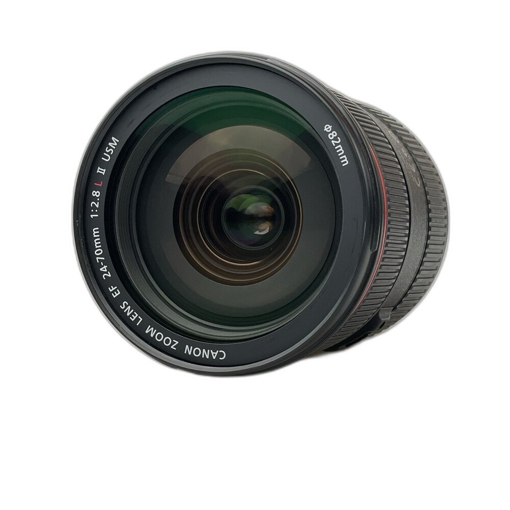 (佳能單反恆定光圈)Canon EF 24-70mm F2.8 L II USM 二代 變焦 L鏡 林相攝影 #0009-圖片-3