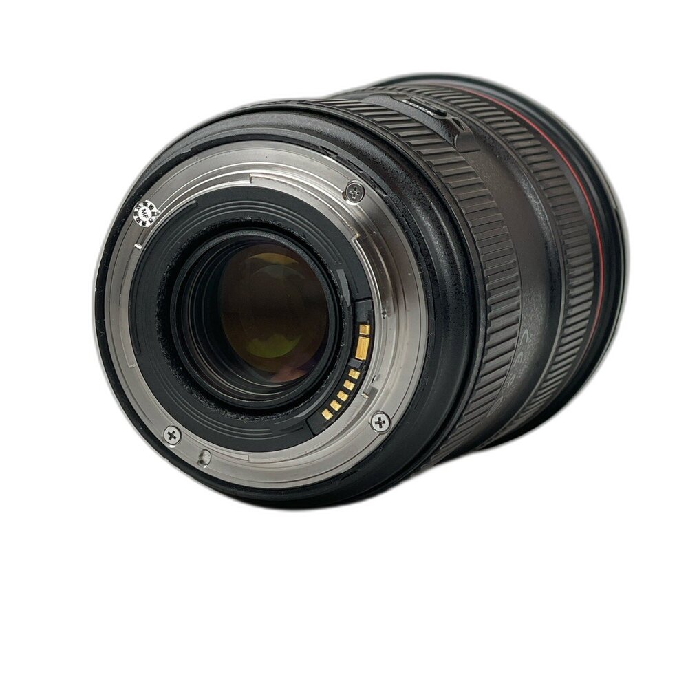 (佳能單反恆定光圈)Canon EF 24-70mm F2.8 L II USM 二代 變焦 L鏡 林相攝影 #0009-圖片-4