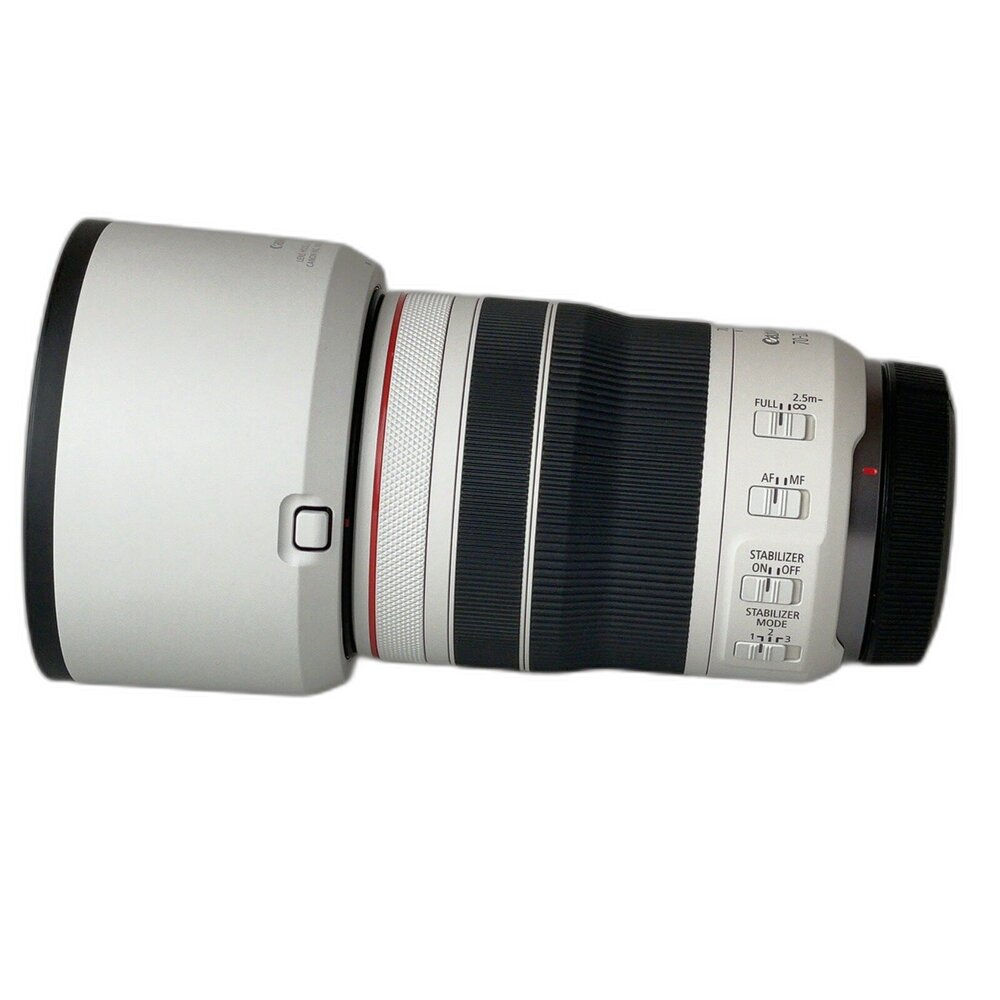 Canon RF 70-200mm F4 L IS USM 無反 長焦鏡頭 運動 野生動物 #001893-圖片-4
