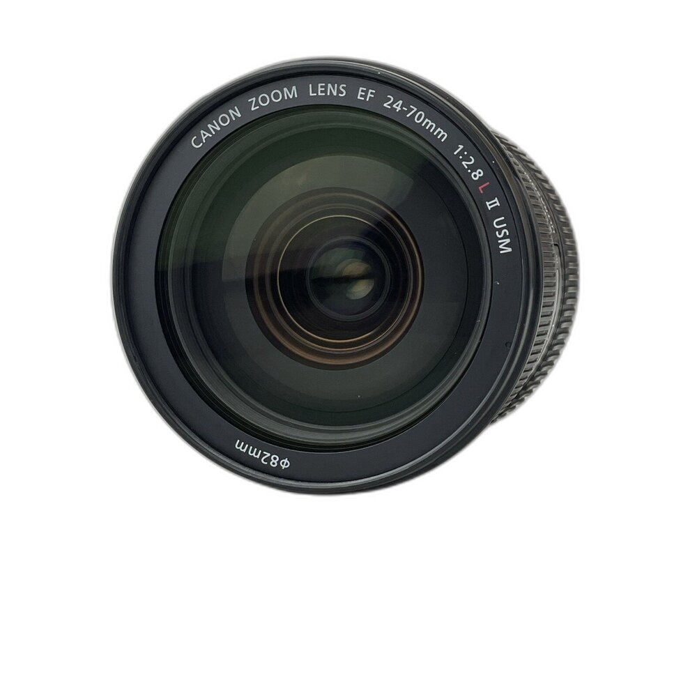 (佳能單反恆定光圈)Canon EF 24-70mm F2.8 L II USM 二代 變焦 L鏡 林相攝影 #0022-圖片-4