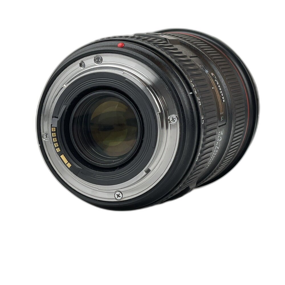 (佳能單反恆定光圈)Canon EF 24-70mm F2.8 L II USM 二代 變焦 L鏡 林相攝影 #0022-圖片-5