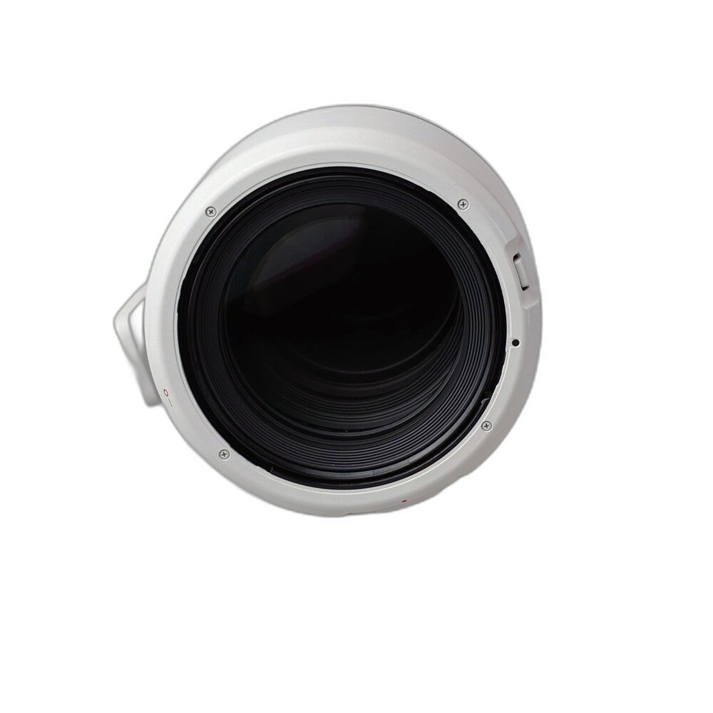 (長焦)二手 Canon RF 70-200mm F2.8 L IS USM Z 長焦 無反 錄影適用 大光圈 林相攝影-圖片-4
