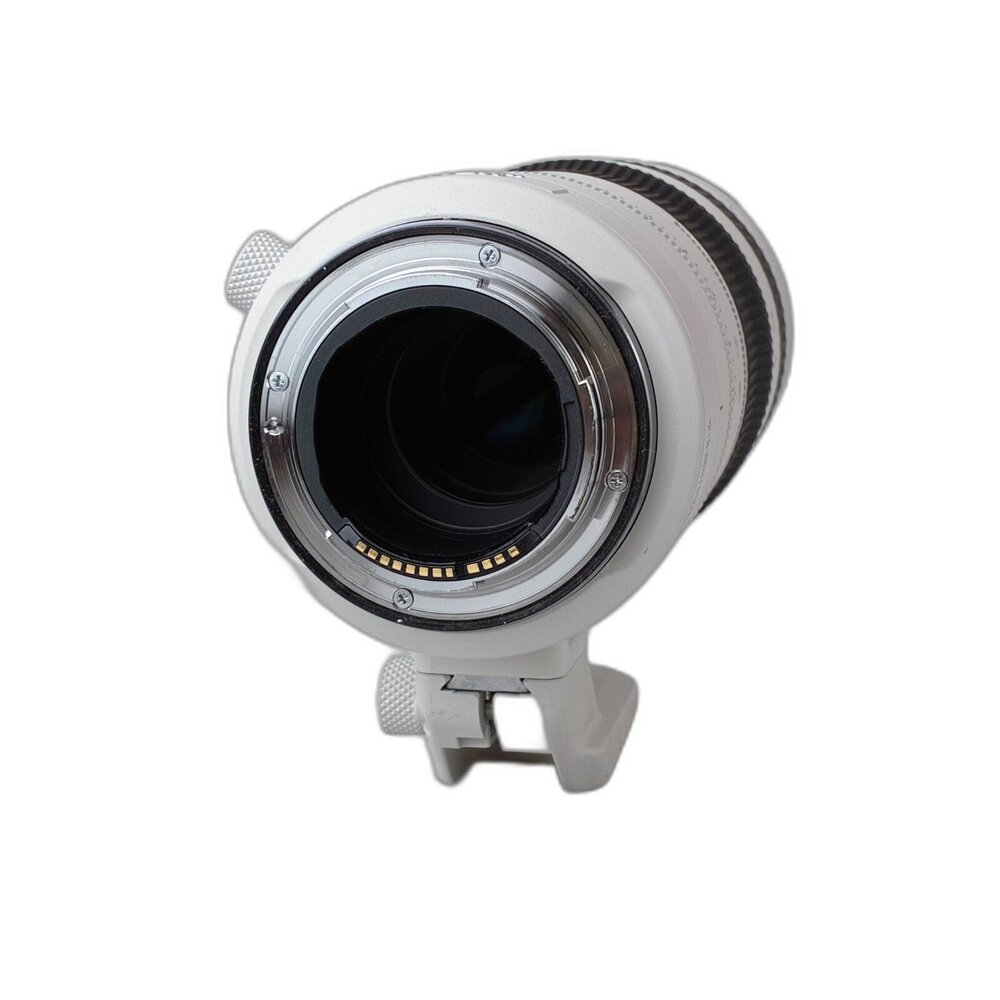 (長焦)二手 Canon RF 70-200mm F2.8 L IS USM Z 長焦 無反 錄影適用 大光圈 林相攝影-圖片-5