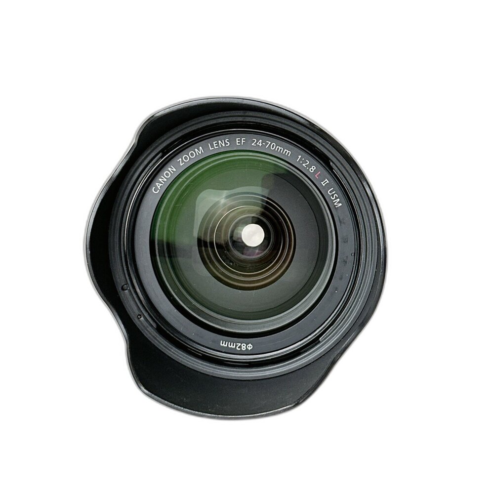 (佳能單反恆定光圈)Canon EF 24-70mm F2.8 L II USM 二代 變焦 L鏡 林相攝影 #0037-圖片-3
