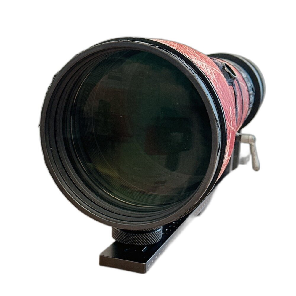 (尼康經典夢幻大砲)Nikon AFS 600mm F4 G ED VR 防手震 追星 打鳥 林相攝影 #00581-圖片-1