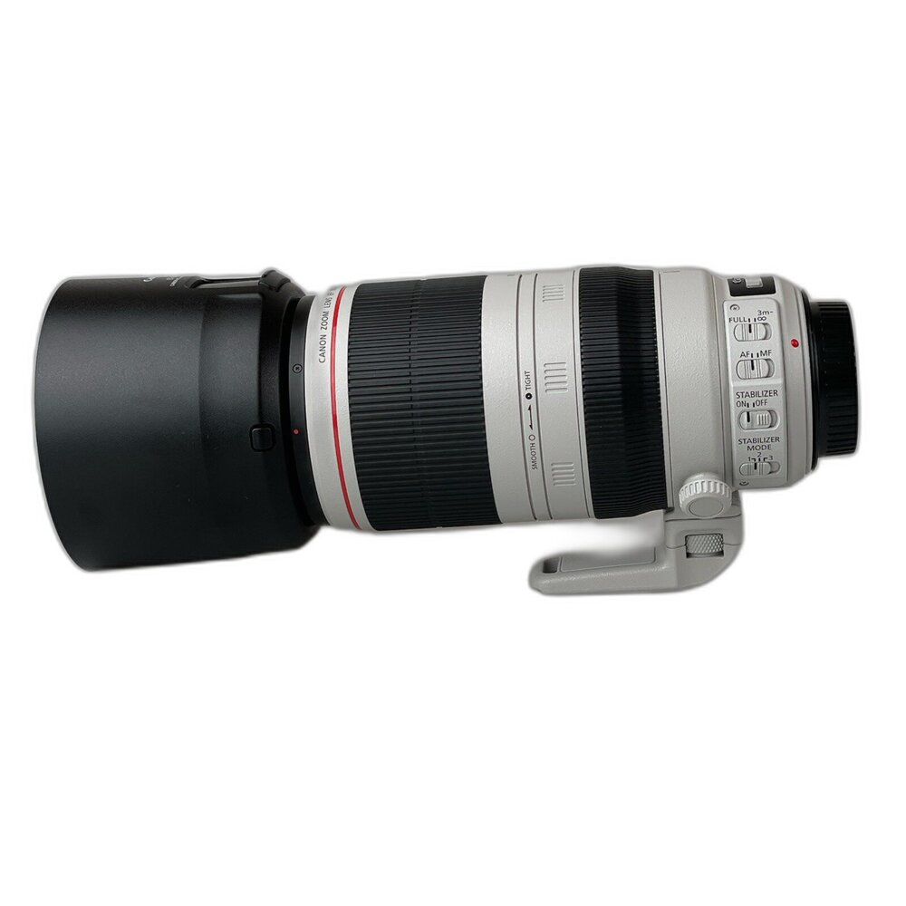 ( 長焦EF 鏡頭 ) Canon EF 100-400mm F4.5-5.6 L IS II USM 畫質好 拍飛機-圖片-1