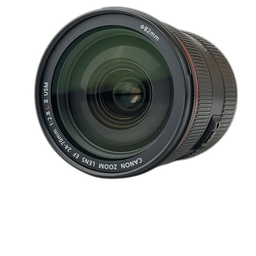 (佳能單反恆定光圈)Canon EF 24-70mm F2.8 L II USM 二代 變焦 L鏡 林相攝影 #0081-圖片-3