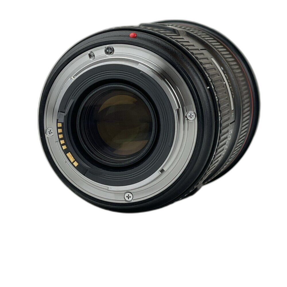(佳能單反恆定光圈)Canon EF 24-70mm F2.8 L II USM 二代 變焦 L鏡 林相攝影 #0081-圖片-4