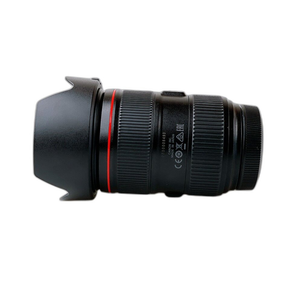 ( 佳能入門款旅遊鏡 ) Canon EF 24-105mm F4 L IS II USM畫質好旅遊鏡 單反 紅圈鏡 #-圖片-3