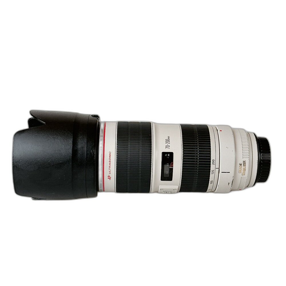 009358-（長焦）二手 Canon EF 70-200mm F2.8 L IS II USM 小白兔 大光圈 林相攝影 #0093