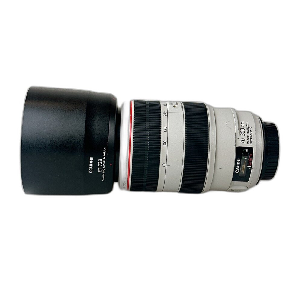 01636-(佳能) Canon EF 70-300mm F4-5.6 L IS USM 胖白 長焦 單反鏡頭 運動 #01636