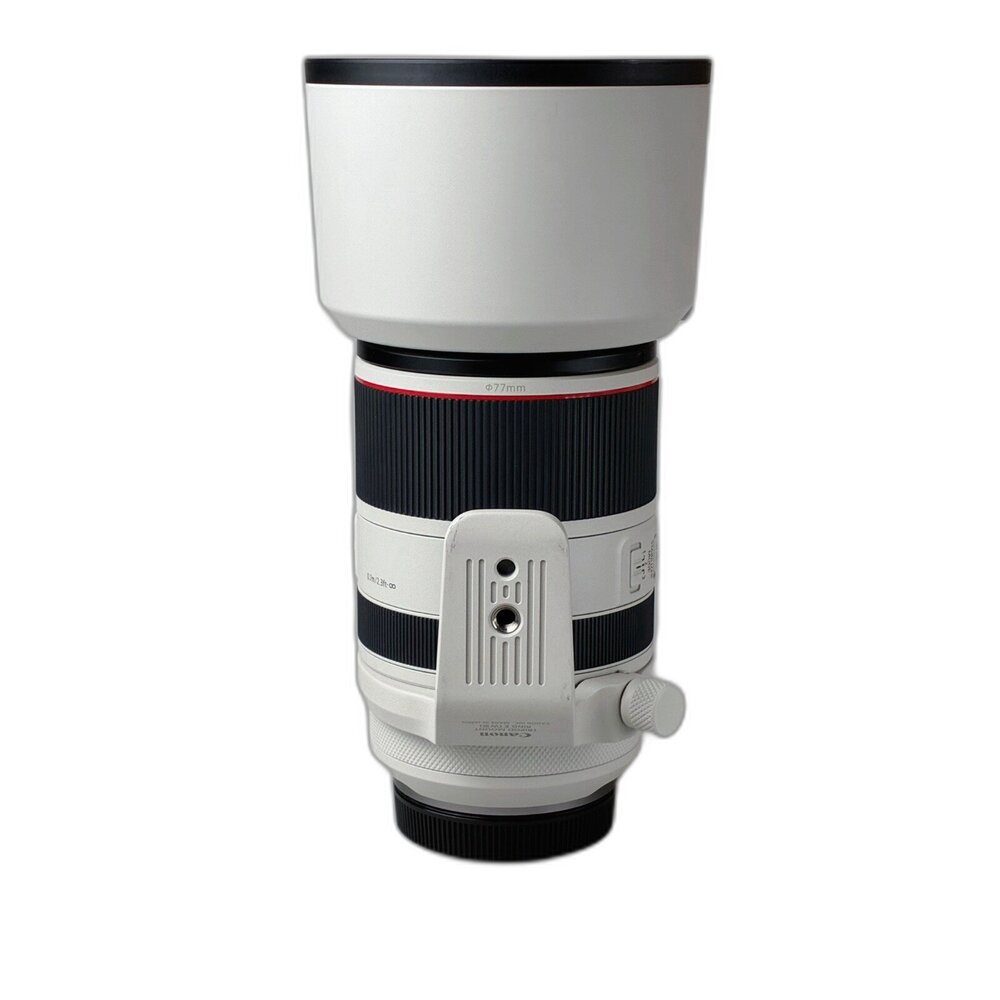 (長焦) Canon RF 70-200mm F2.8 L IS USM 長焦 無反 大光圈 林相攝影 #02571-圖片-2