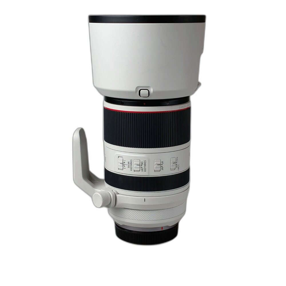 (長焦) Canon RF 70-200mm F2.8 L IS USM 長焦 無反 大光圈 林相攝影 #02571-圖片-3