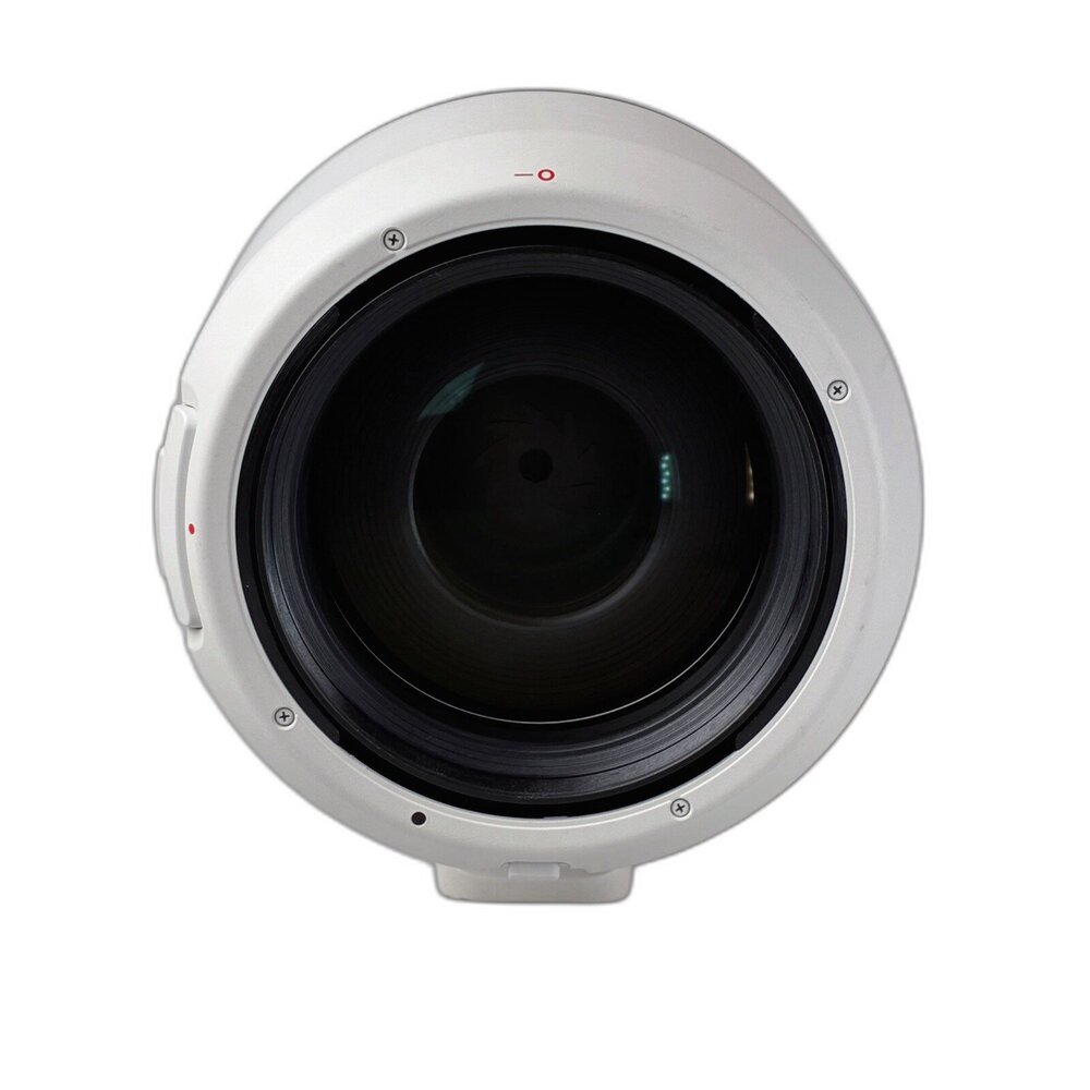 (長焦) Canon RF 70-200mm F2.8 L IS USM 長焦 無反 大光圈 林相攝影 #02571-圖片-4