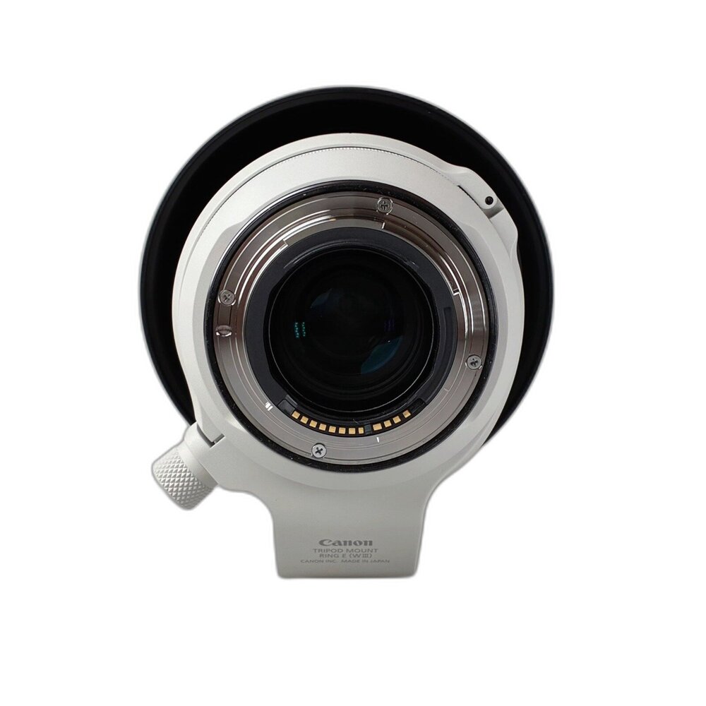 (長焦) Canon RF 70-200mm F2.8 L IS USM 長焦 無反 大光圈 林相攝影 #02571-圖片-5