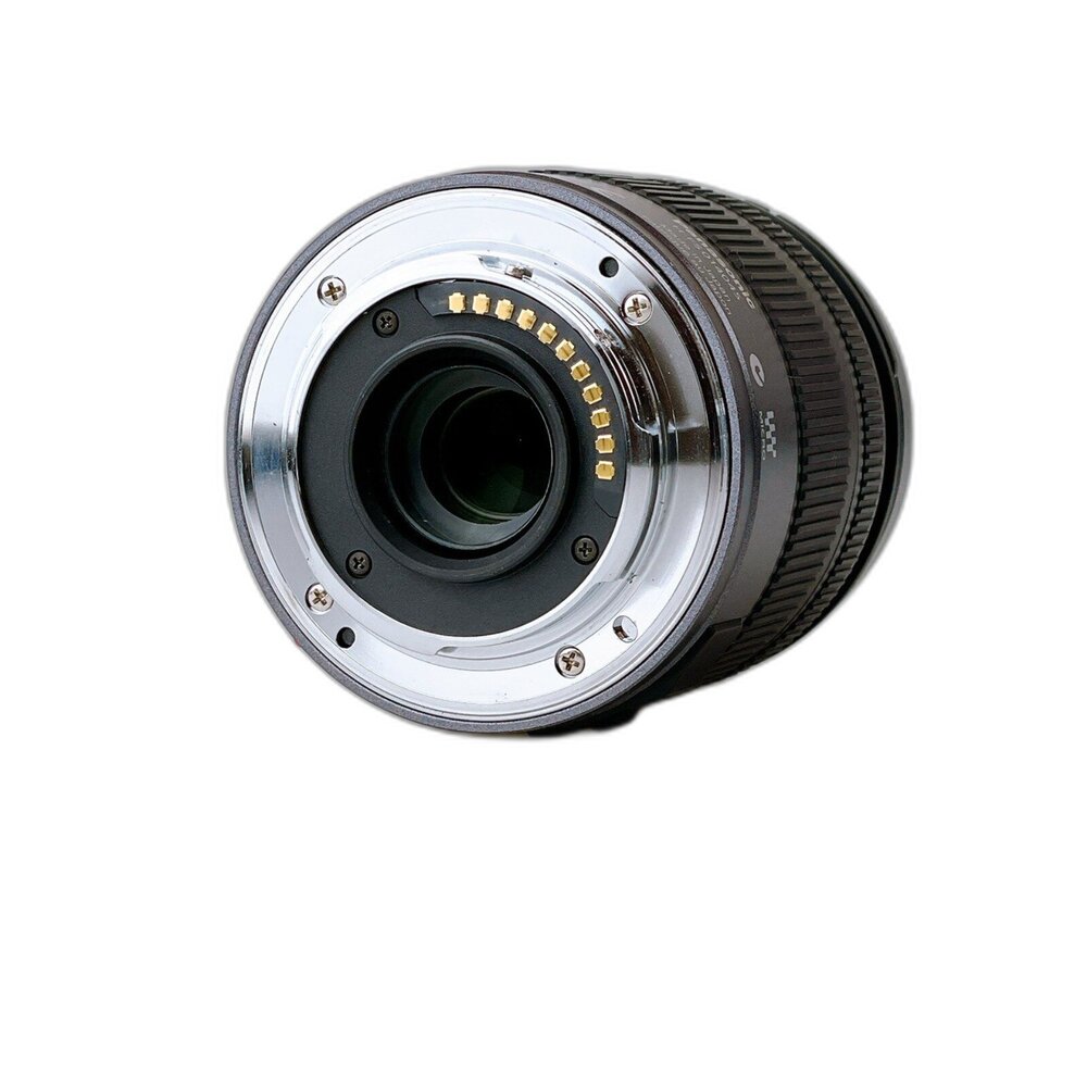 (旅遊隨拍全能鏡)Lumix 14-45mm F3.5-5.6 OIS 輕便變焦 日常紀錄 林相攝影 #05046-圖片-1