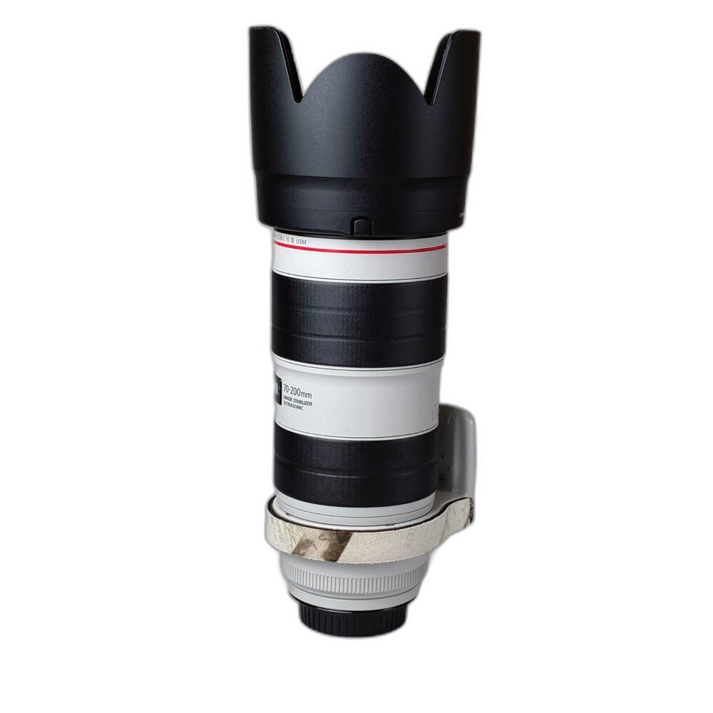 (長焦)二手 Canon EF 70-200mm F2.8 L IS II USM 大光圈 林相攝影 #05994-圖片-2