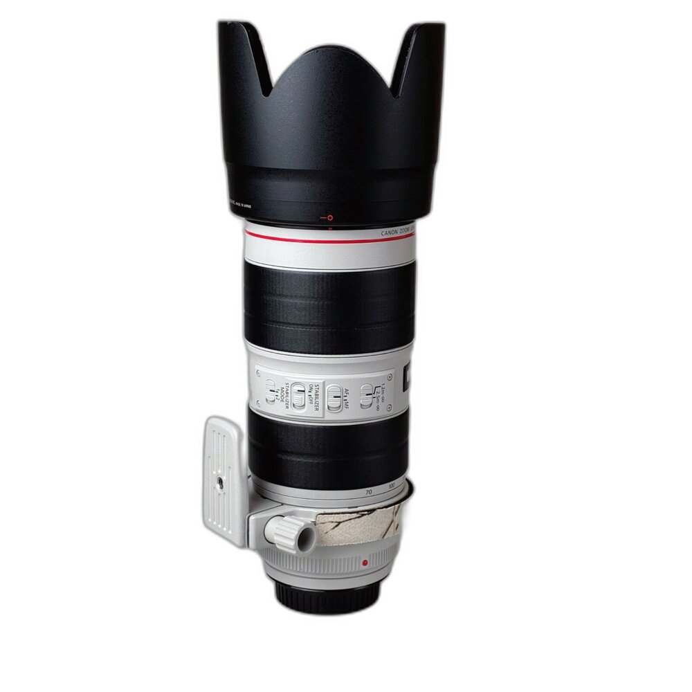 (長焦)二手 Canon EF 70-200mm F2.8 L IS II USM 大光圈 林相攝影 #05994-圖片-4