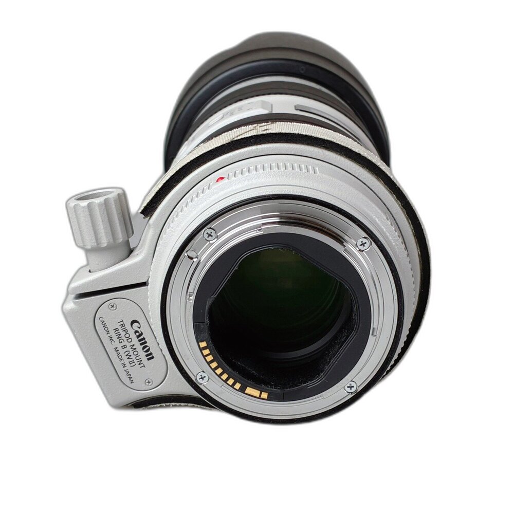 (長焦)二手 Canon EF 70-200mm F2.8 L IS II USM 大光圈 林相攝影 #05994-圖片-5