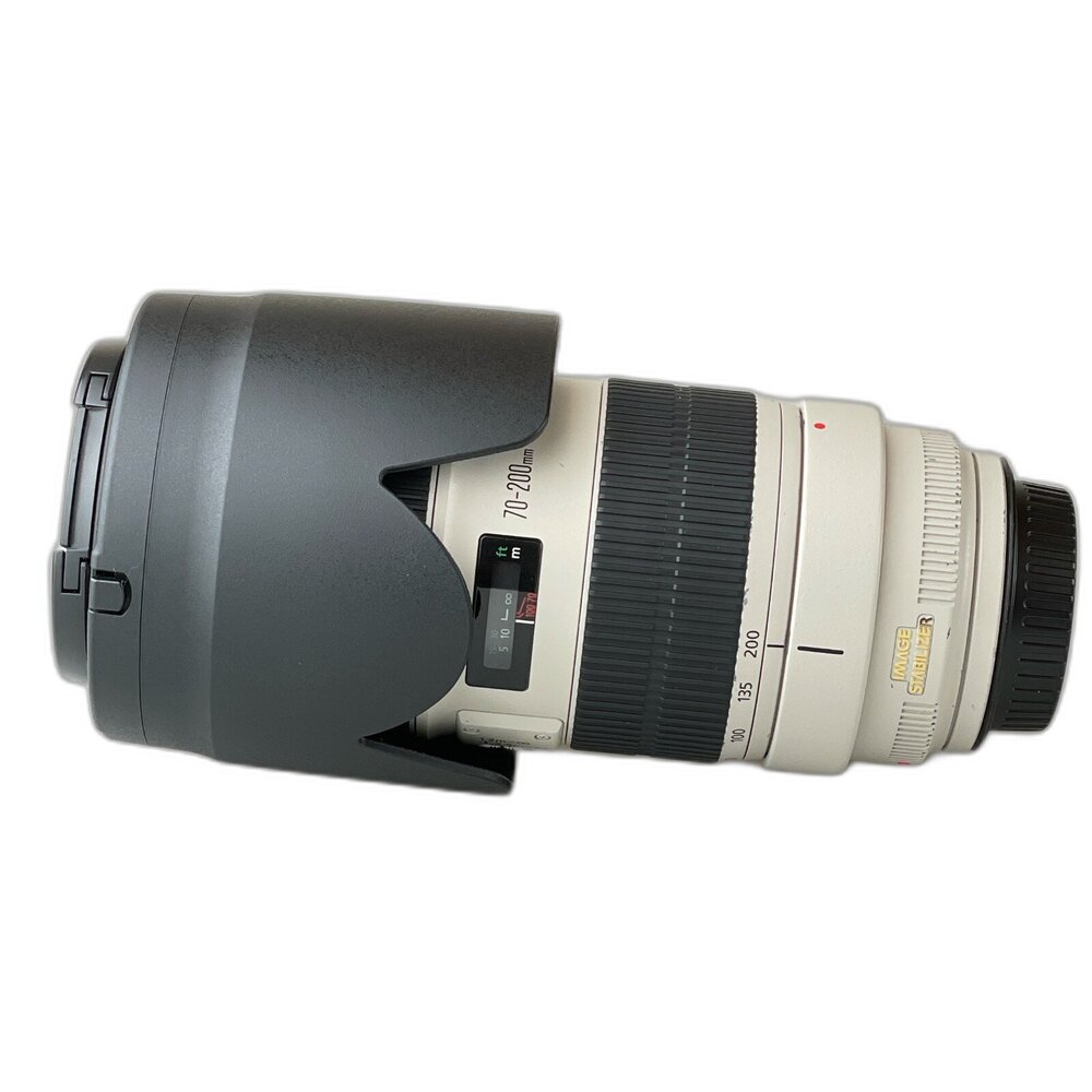 05999-（長焦）二手 Canon EF 70-200mm F2.8 L IS II USM 小白兔 大光圈 林相攝影 #5999