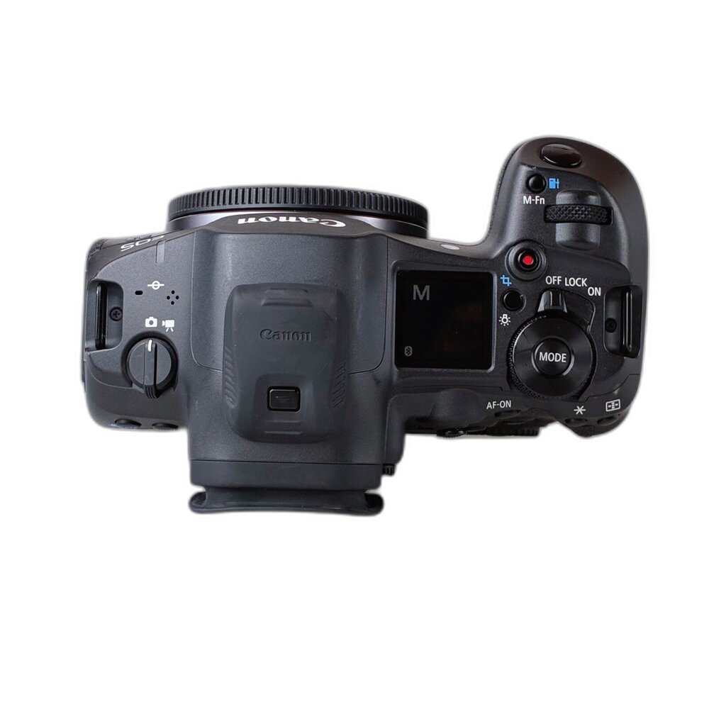 佳能 Canon R5 Mark II 全片幅 無反 R52 高畫素 高速連拍 雙卡槽 林相攝影 #100790-圖片-4