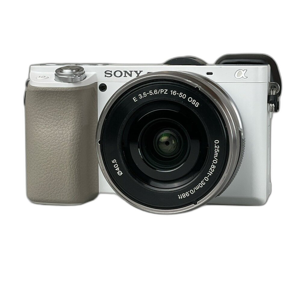 Sony A6100 +16-50mm 鏡頭 可換鏡頭 二手 林相攝影 #22297309 封面照片