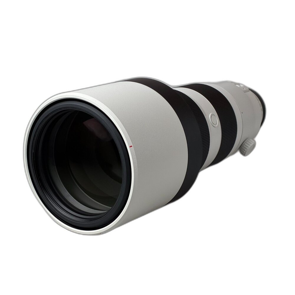 索尼)Sony FE 200-600mm F5.6-6.3 G OSS 超望遠變焦鏡 全片幅 鳥類#274401-圖片-2