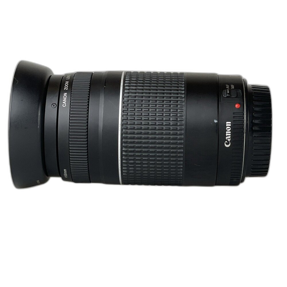 (佳能平價長焦) Canon EF 75-300 F4-5.6 IS 入門 新手 # 305040-圖片-4