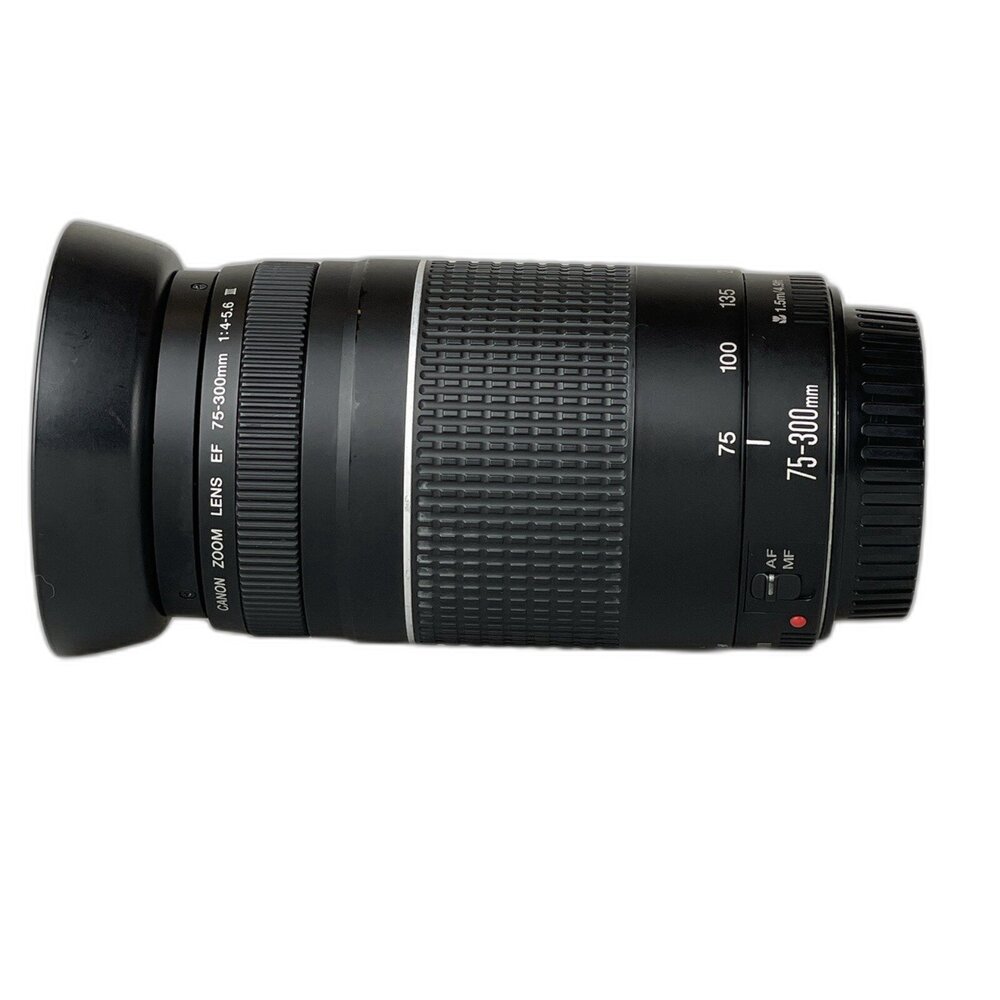 305040-（佳能平價長焦） Canon EF 75-300 F4-5.6 IS 入門 新手 # 305040