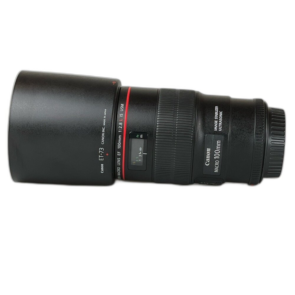 327064-（佳能）Canon EF 100mm F2.8 L IS USM 定焦鏡 大光圈 牙科 微距 二手鏡頭 林相攝影 #32