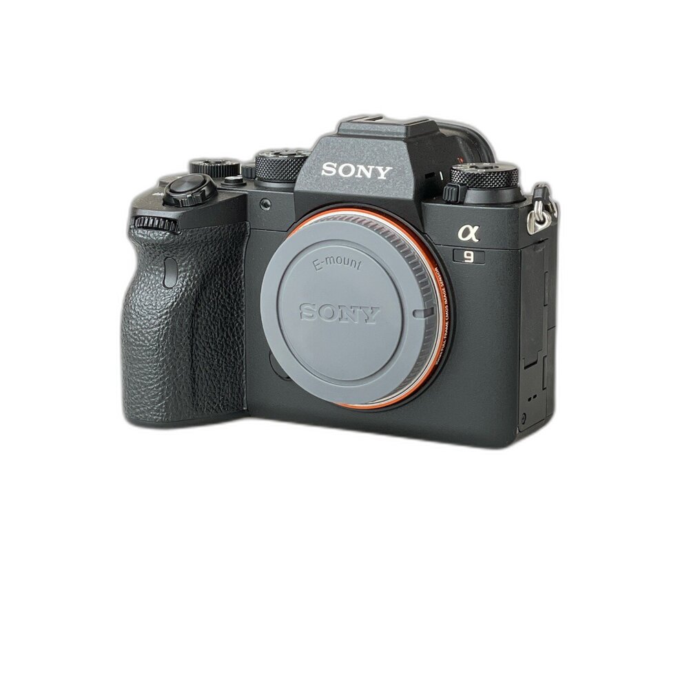 4970223-（Sony超高階旗艦機款）SONY A9M2 A92 全片幅 可換鏡頭式 連拍對焦快 林相攝影＃4970223