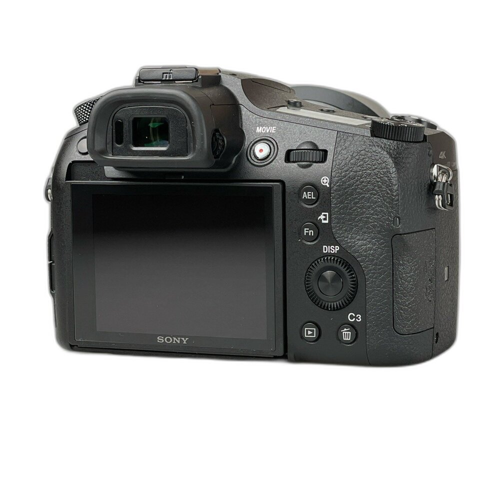 ( 胖卡4稀有機 ) Sony RX10M4 RX10IV 遠距離一英寸變焦 畫質好 拍動物 #53984-圖片-2