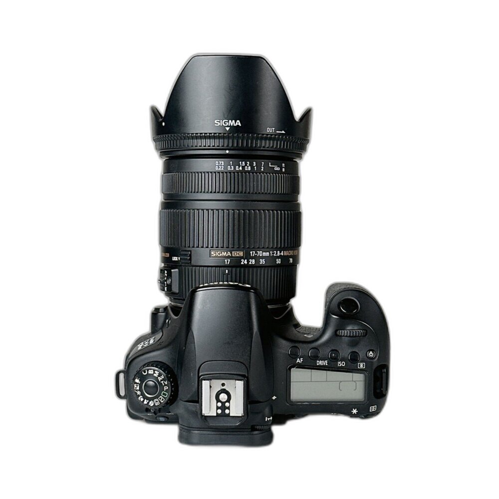(佳能單眼)Canon 60D + 17-70mmF 2.8-4 變焦鏡 初階 平價 鏡頭群多 可翻轉螢幕 新手 林相-圖片-4