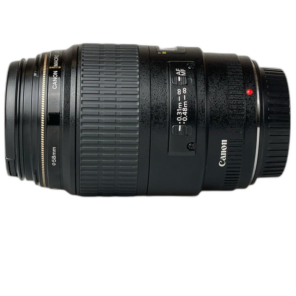 (佳能)Canon EF 100mm F2.8 Macro USM 微距 特寫 生態攝影 大光圈 二手鏡頭 林相攝影 #-圖片-1