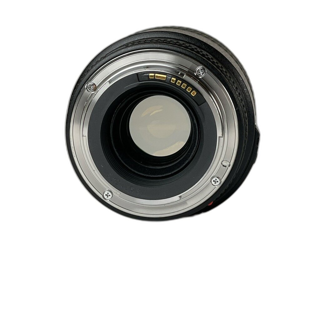 (佳能)Canon EF 100mm F2.8 Macro USM 微距 特寫 生態攝影 大光圈 二手鏡頭 林相攝影 #-圖片-4