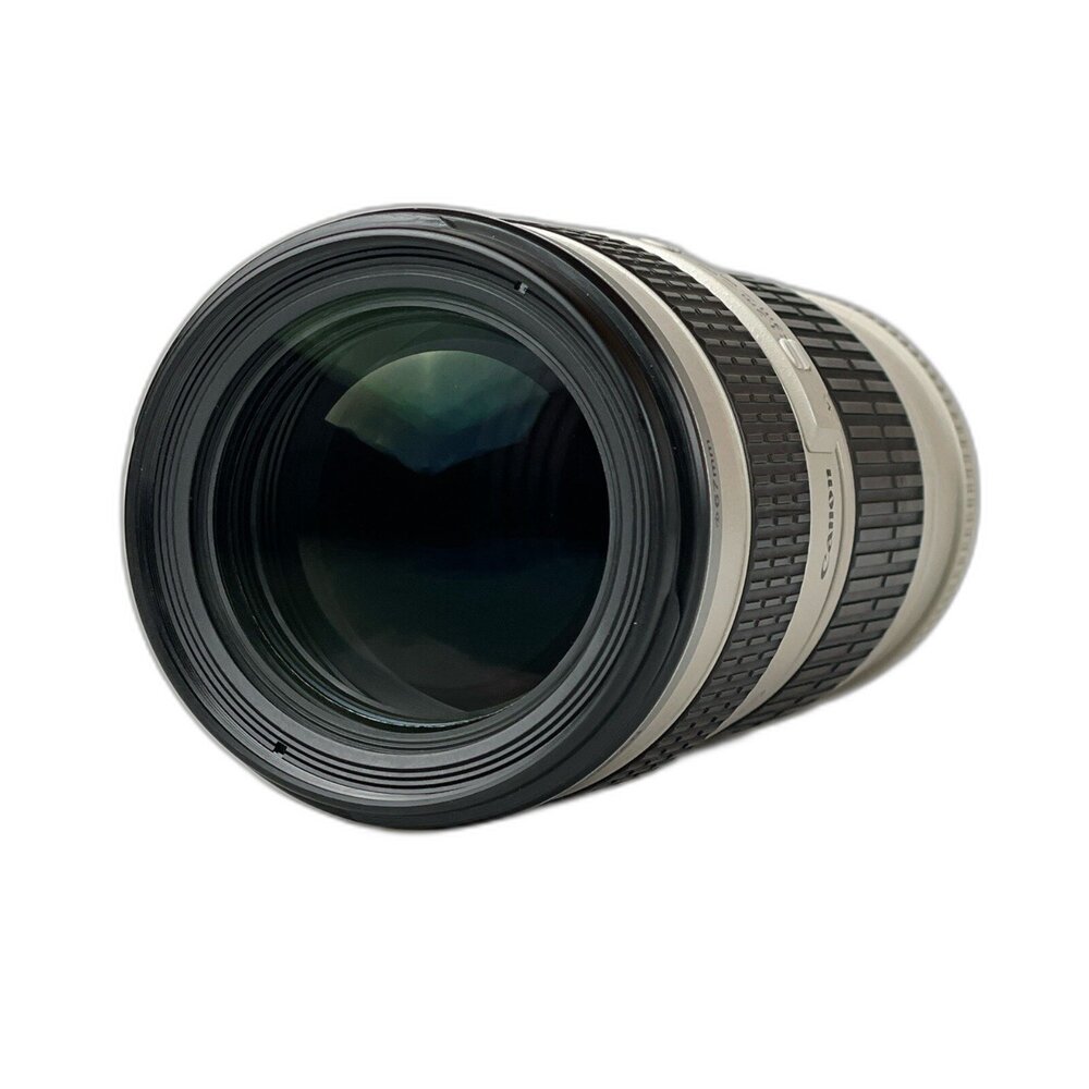 (佳能輕巧長焦)Canon EF 70-200mm F4 L USM 畫質好 二手鏡頭 林相攝影 #77030-圖片-3