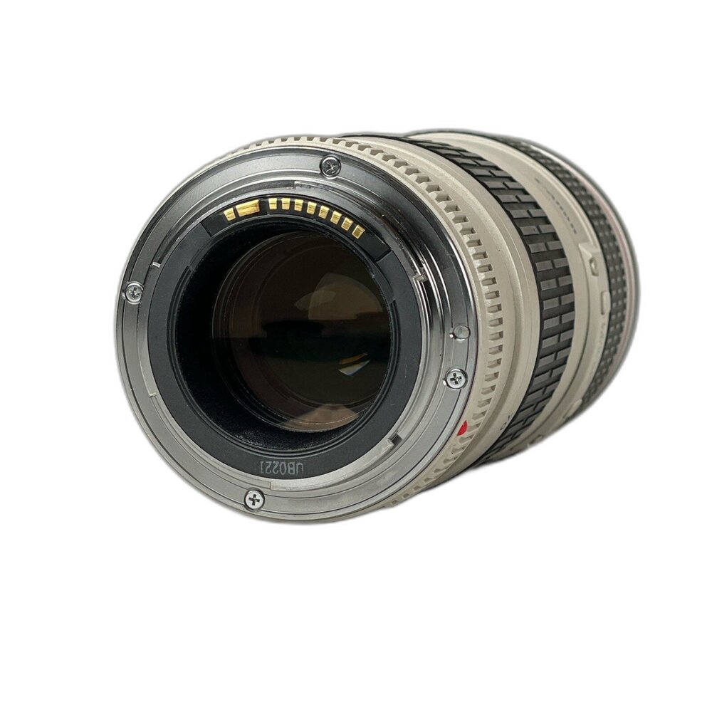 (佳能輕巧長焦)Canon EF 70-200mm F4 L USM 畫質好 二手鏡頭 林相攝影 #77030-圖片-4