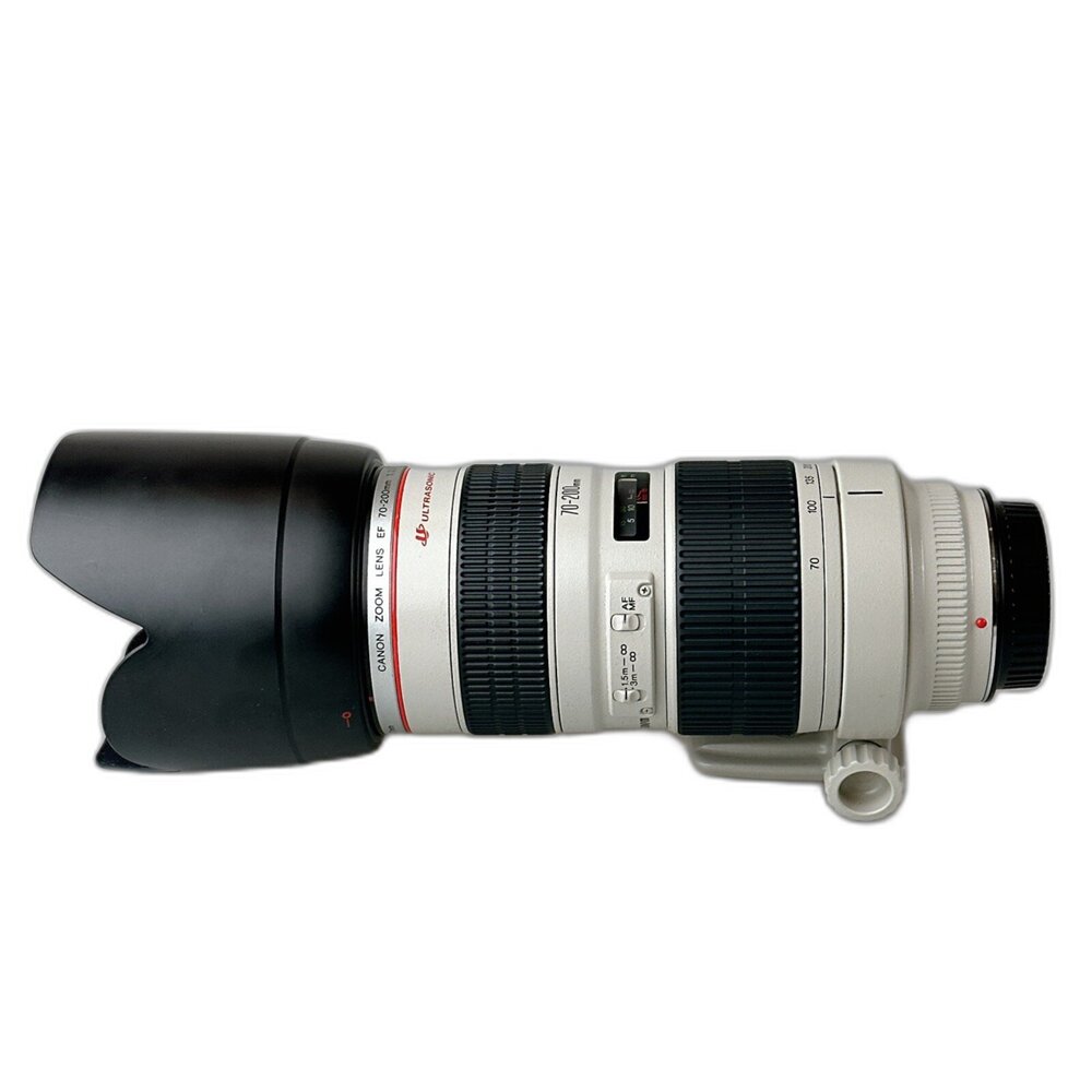 86528-（長焦）二手Canon EF 70-200mm F2.8 L 長焦鏡 大光圈 遠距離 林相攝影 #86528